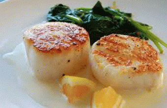scallopspost