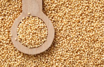 wsgaamaranth