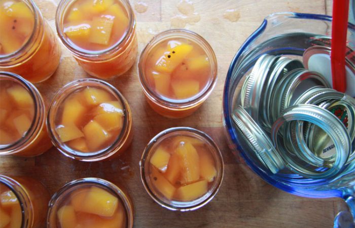 pumpkinpickle2