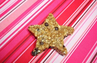 No-Bake-Kids-Protein-Bars_2