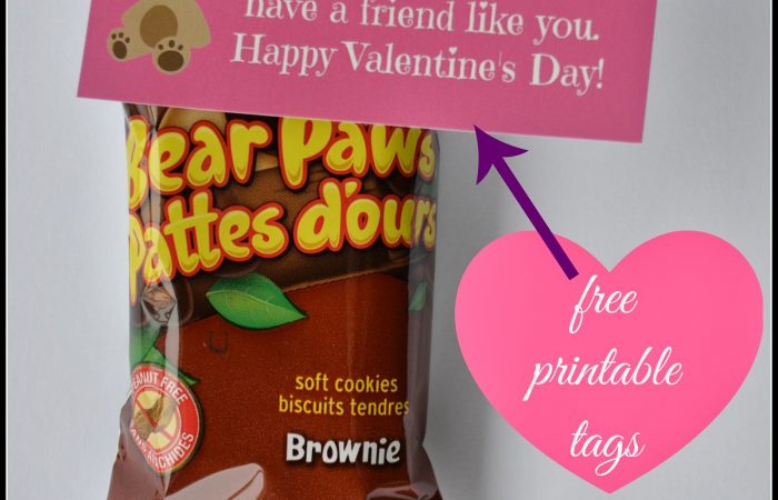 Valentine_bearyhappytohaveafriendlikeyou