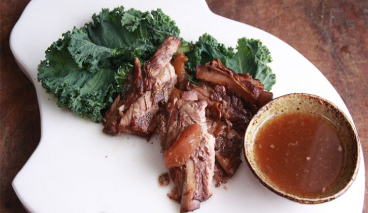 pomribs2
