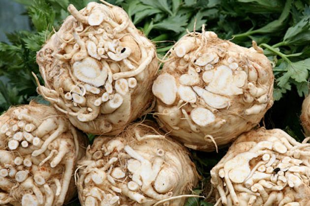 wsgaceleryroot