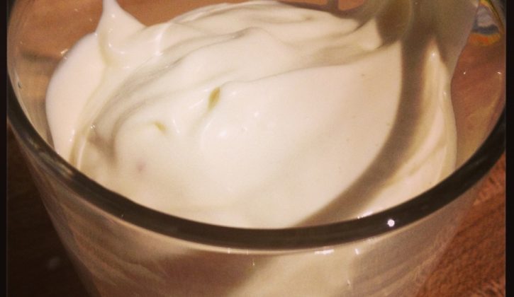 mymayo
