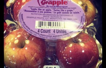 grapple-1024x1024