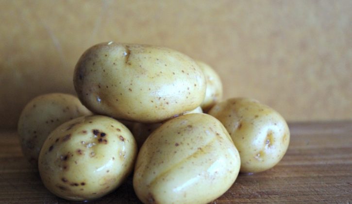 smashedpotato