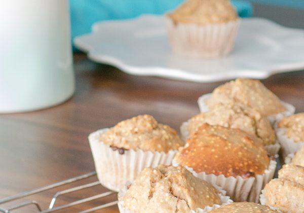2014-02-Millet-Muffins-5