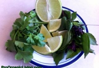 Pho-Soup-vegetables