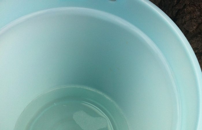 photo-4