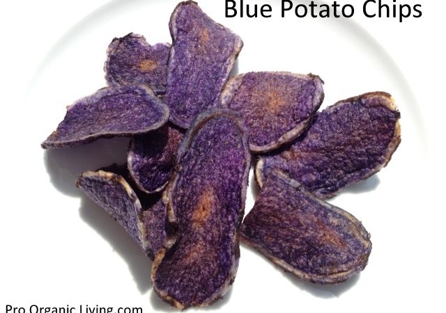 Terra-Blue-Potato-Chips