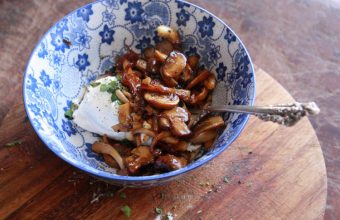 wildmushroom3