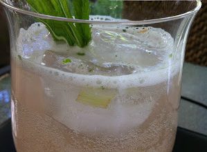 ginfizz