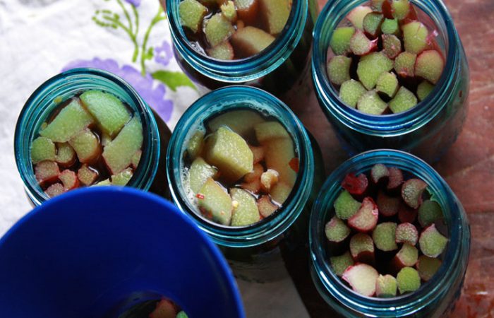 pickledrhubarb3