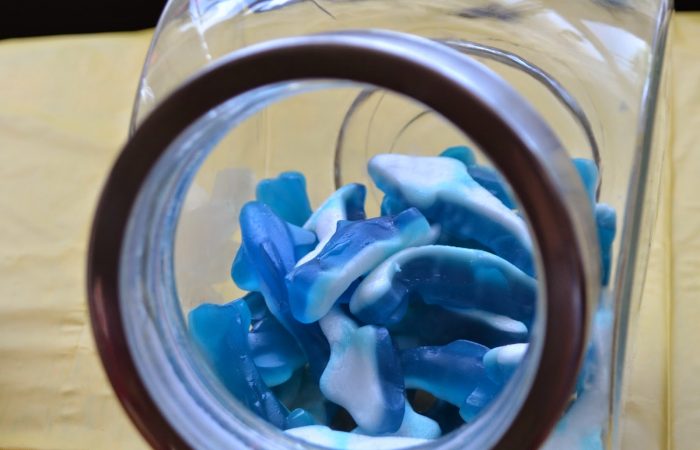 piratepartyfood_sharks