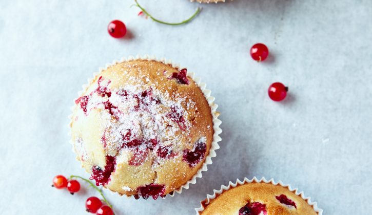 rasberry_currant_muffins