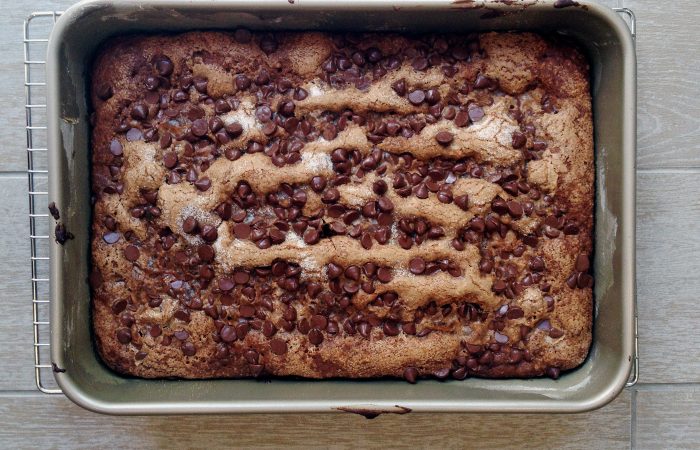 yogurt_chocolate_chip_cake