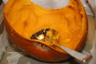 Pumpkin5