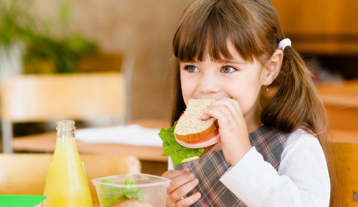 Kids Lunch Ideas So They Actually Eat Lunch at School - SavvyMom
