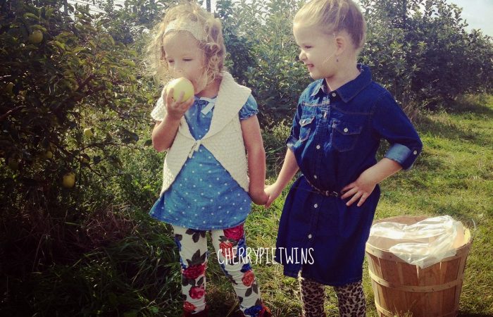 applepicking1