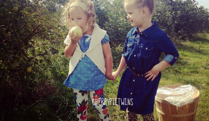 applepicking1