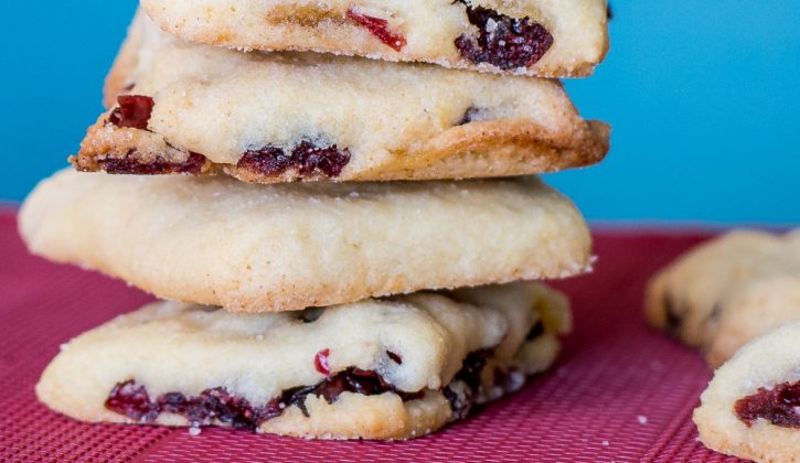 2014-Christmas-Cookies-Cranberry-Ginger-Squares-3