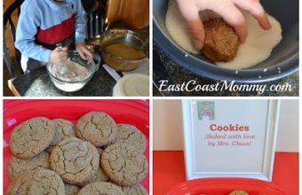 gingercookies_tutorial