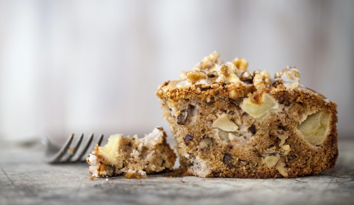 Slice of spiced apple and walnut crumb cake - SavvyMom