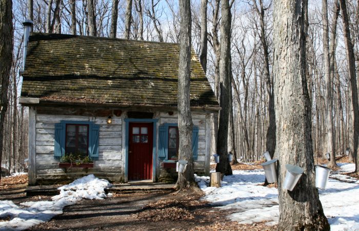 recipegeek-trending-maple_syrup_sugar_shacks_101