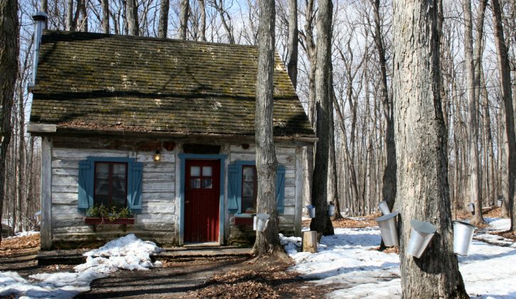 recipegeek-trending-maple_syrup_sugar_shacks_101