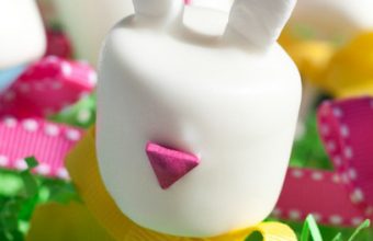 eastershoot-bunny