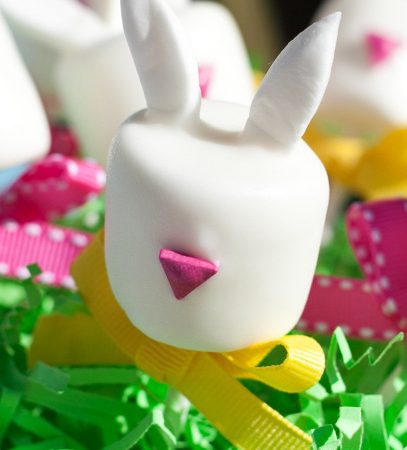eastershoot-bunny