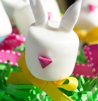 eastershoot-bunny