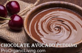Bowl of chocolate cream