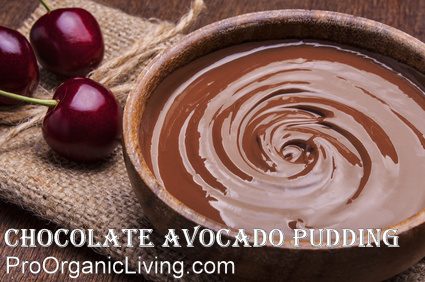 Bowl of chocolate cream