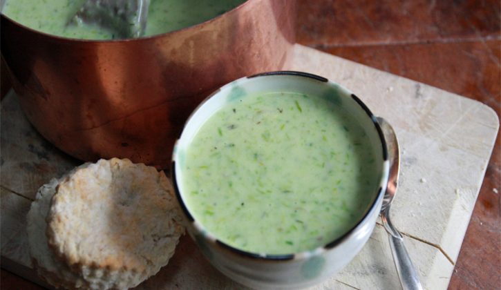 asparagussoup2