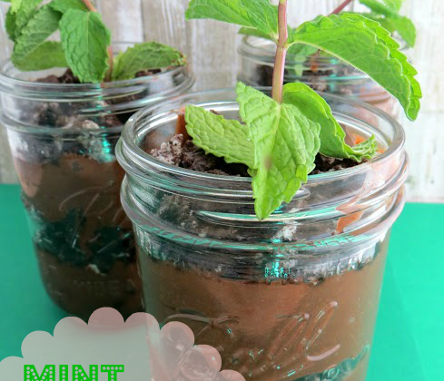 Mint-Chocolate-Plant-Parfaits