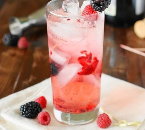 Champagne-Cobbler-Cocktail-2-466x700
