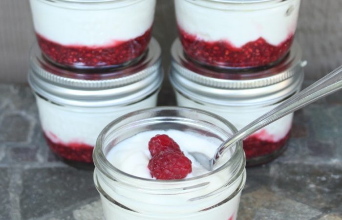 Homemade-Fruit-On-the-Bottom-Yogurt-Cups-Mama.Papa_.Bubba_.1
