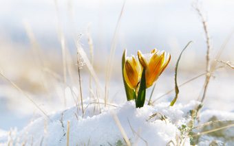 the_savvy_guide_to_March_in_Ottawa