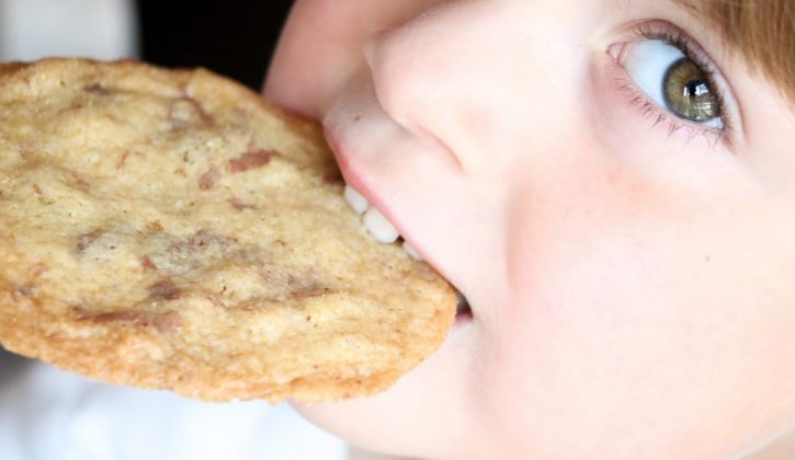 thin-and-crisp-chocolate-chip-cookies-7-1024x683