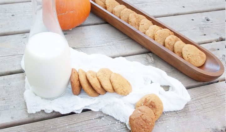 pumpkin-1