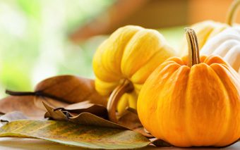 thanksgiving_image_of_topic