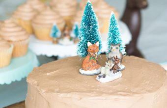 Simple-Woodland-Theme-Cake