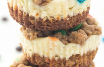 Gluten-Free-Monster-Cookie-Cheesecakes-www.thereciperebel.com-long-3-of-6