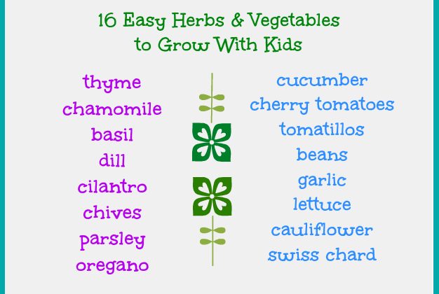 vegetables-to-grow-with-kids1