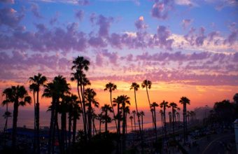 Palm-Trees-at-Sunset-