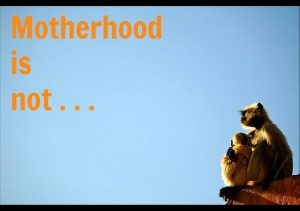 Motherhood-is-not-300x211