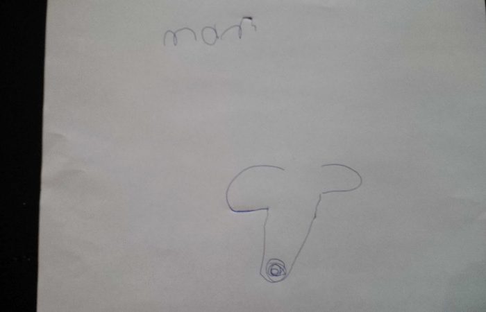 eisforelephant