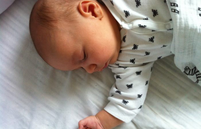 nap_holland-1