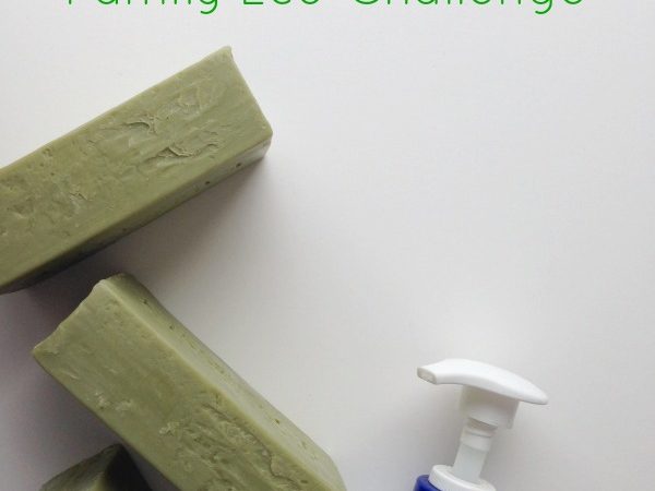 family-eco-challenge-bar-soap